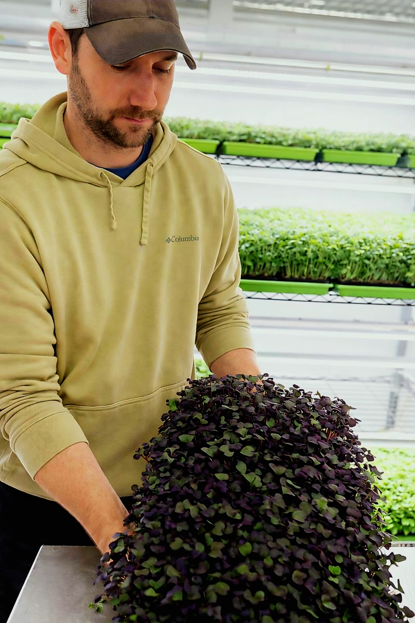 Brandon Daugherty, grower at Simply Clean Microgreens